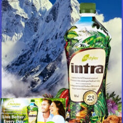 Intra Lifestyles